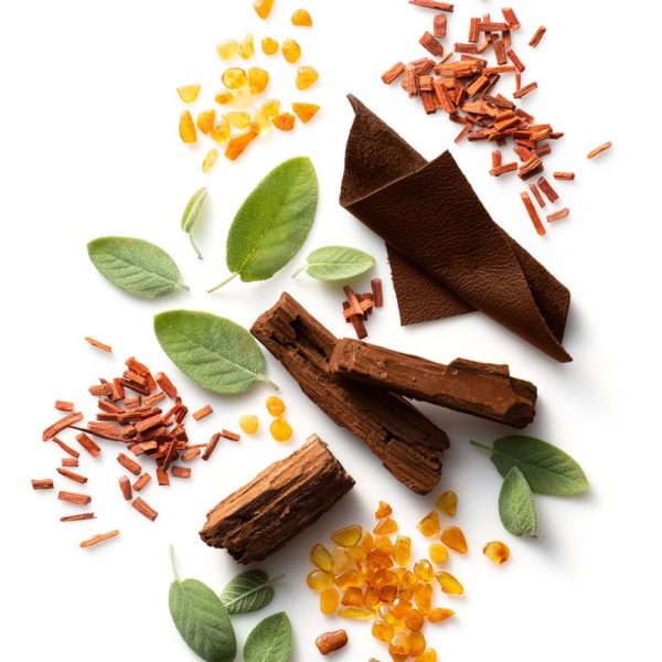 Myfact.shop04fa827ac1 2