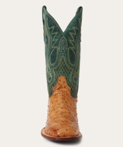 Myfact.shop0a512d5f5b 3