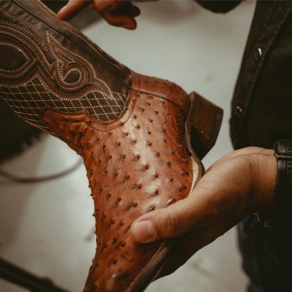 Myfact.shop0c89e133b5 2