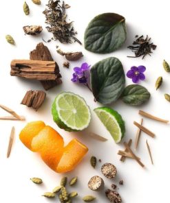 Myfact.shop4852d06360 2