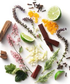 Myfact.shop49f95389ec 2