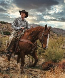 Myfact.shop57936b8203 3