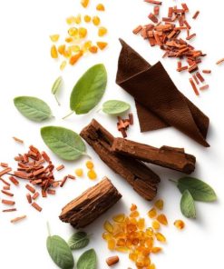 Myfact.shop83ee4170c7 2