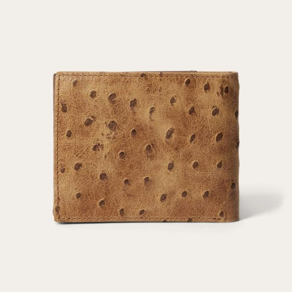 Myfact.shop8a789697d5 3