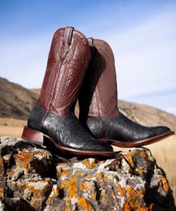 Myfact.shopa93721051f 2