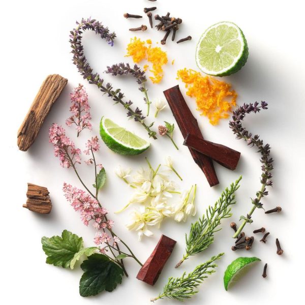 Myfact.shopa9455de0de 2