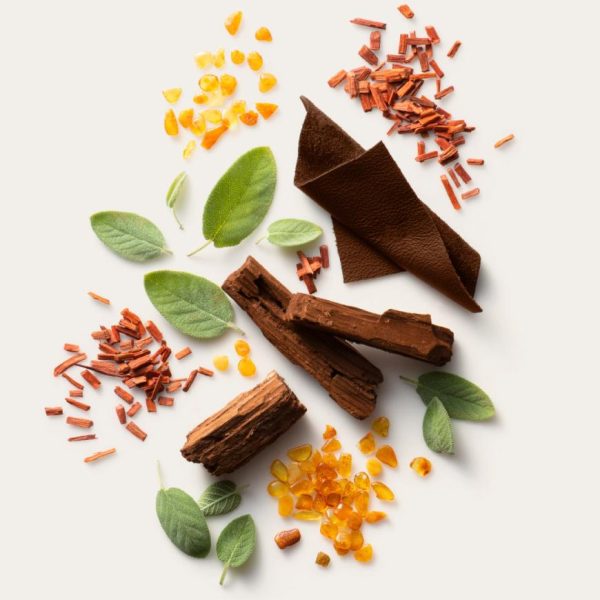 Myfact.shopb85ce6ab25 2