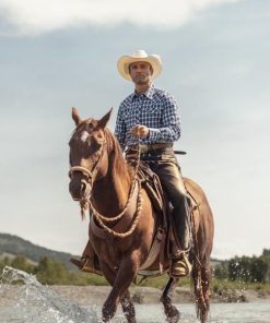 Myfact.shope97d9ab531 2